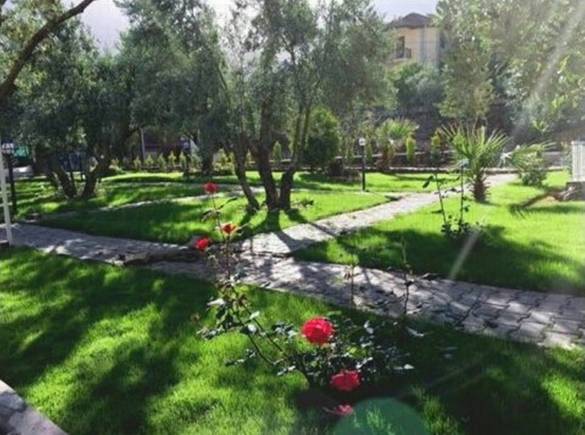 Doga Hotel Oludeniz Exterior photo